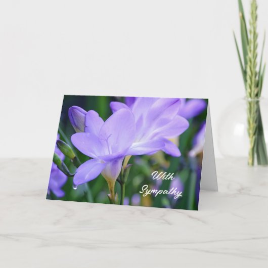 Lila Freesia Blume Garden Sympathie Card Karte (Vorderseite)