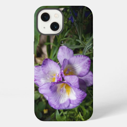 Lila Freesia Blume iPhone Hülle (Rückseite)