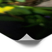 Lila Freesia Blume Poster (Ecke)