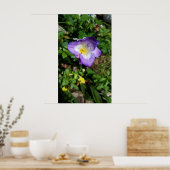 Lila Freesia Blume Poster (Küche)