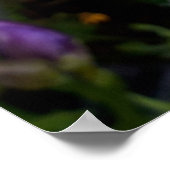 Lila Freesia Blume Poster (Ecke)