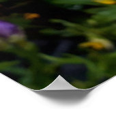 Lila Freesia Blume Poster (Ecke)