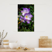 Lila Freesia Blume Poster (Küche)