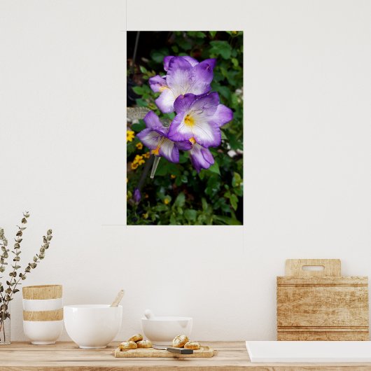 Lila Freesia Blume Poster (Küche)