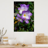 Lila Freesia Blume Poster (Küche)