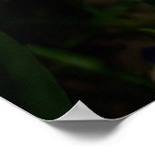 Lila Freesia Blume Poster (Ecke)