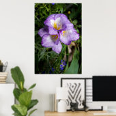 Lila Freesia Blume Poster (Heimbüro)