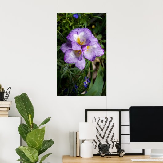 Lila Freesia Blume Poster (Heimbüro)