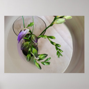 lila Freesia-Knospen Poster