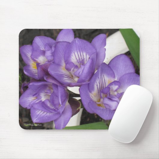 Lila Freesia Mousepad (Mit Mouse)