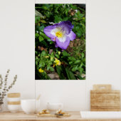 Lila Freesienblüten Poster (Küche)