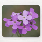 Lila Freifrauen Rocket der Wildblumen-F19 Mousepad (Vorne)