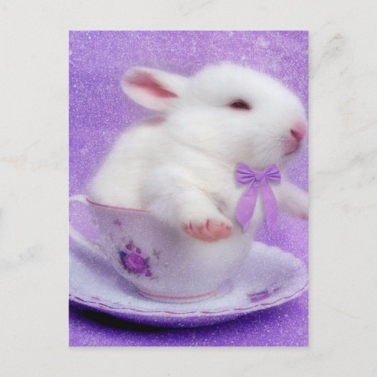 Lila Freudespiele Postkarte (Vorderseite)