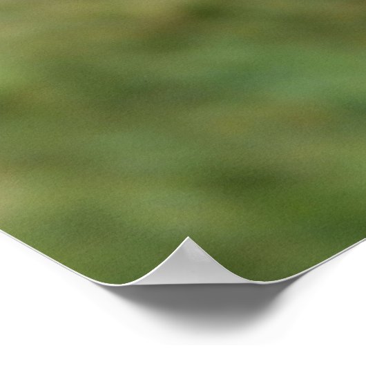 Lila Fringed Tulip Poster (Ecke)