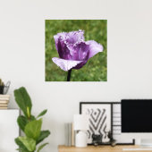 Lila Fringed Tulip Poster (Heimbüro)