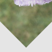 Lila Fringed Tulip Seidenpapier (Detail)