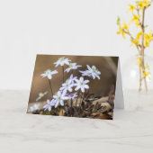 Lila Frühjahrskarte Wildblumen Karte (Gelbe Blume)