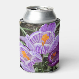 Lila Frühjahrskuken. Dosenkühler