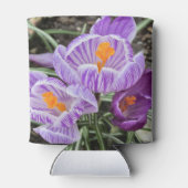 Lila Frühjahrskuken. Dosenkühler (Rückseite)