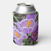 Lila Frühjahrskuken. Dosenkühler (Kanne Rückseite)