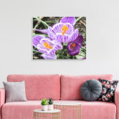 Lila Frühjahrskuken. Leinwanddruck (Insitu (Wohnzimmer))