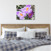 Lila Frühjahrskuken. Leinwanddruck (Insitu (Schlafzimmer))