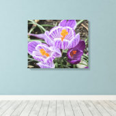 Lila Frühjahrskuken. Leinwanddruck (Insitu (Holzboden))