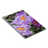 Lila Frühjahrskuken. Notizblock (Rechte Seite)