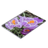 Lila Frühjahrskuken. Notizblock (Linke Seite)