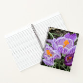 Lila Frühjahrskuken. Notizblock (Innenseite)