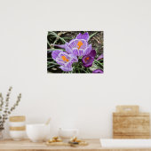 Lila Frühjahrskuken. Poster (Küche)