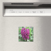 lila FrühlingsBlume Magnet (In Situ (Geschirrspüler))