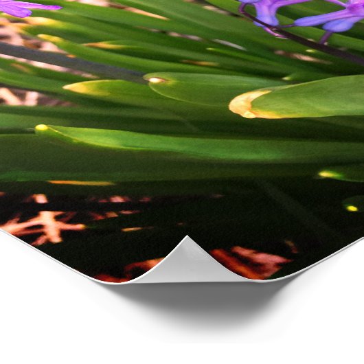 Lila Frühlingsblumen Poster (Ecke)