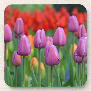 Lila Frühlingsgarten Getränkeuntersetzer