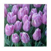 Lila Frühlingstulpen Fliese (Vorderseite)
