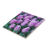Lila Frühlingstulpen Fliese (Seite)