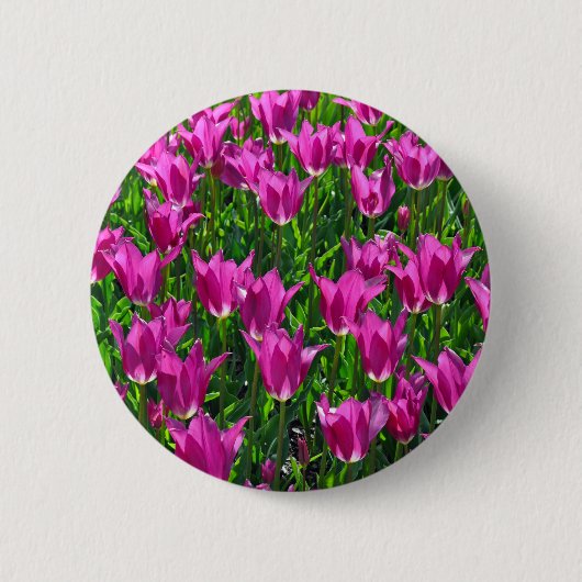 Lila Frühlingtulis Button (Vorderseite)