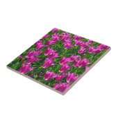 Lila Frühlingtulis Fliese (Seite)