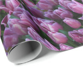Lila Frühlingtulis Geschenkpapier (Rolleneckpunkt)