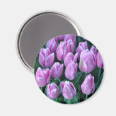 Lila Frühlingtulis Magnet (Vorderseite/Rückseite)