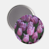 Lila Frühlingtulis Magnet (Vorderseite/Rückseite)