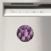 Lila Frühlingtulis Magnet (In Situ (Geschirrspüler))