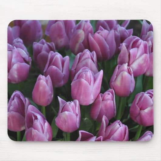 Lila Frühlingtulis Mousepad (Vorne)