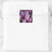 Lila Frühlingtulis Quadratischer Aufkleber (Tasche)