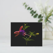 Lila Fuchsia-Blume Postkarte (Stehend Vorderseite)