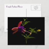 Lila Fuchsia-Blume Postkarte (Vorne/Hinten)
