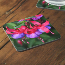 Lila Fuchsia mit rosa Sepalen Getränkeuntersetzer