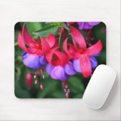 Lila Fuchsia mit rosa Sepalen Mousepad (Mit Mouse)
