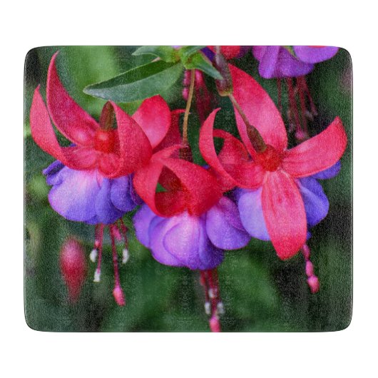 Lila Fuchsia mit rosa Sepalen Schneidebrett (Vorderseite)