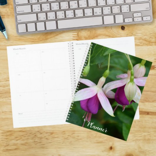 Lila Fuchsien-Blume mit weißem Sepal Planer